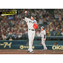 ブロマイド 5/20 T-G　35才木