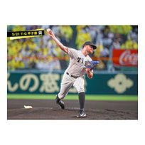 ブロマイド 5/21 T-G　99ビーズリー