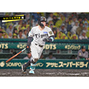 ブロマイド 5/21 T-G　8佐藤（輝明）