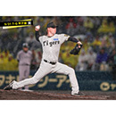 ブロマイド 5/21 T-G　42ネルソン