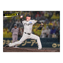 ブロマイド 5/21 T-G　42ネルソン