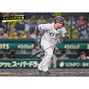ブロマイド 5/21 T-G　3大山