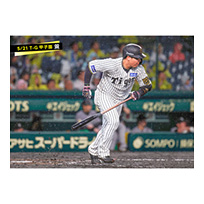 ブロマイド 5/21 T-G　3大山