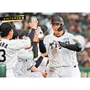 ブロマイド 5/22 T-G　3大山