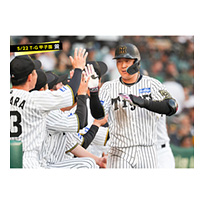 ブロマイド 5/22 T-G　3大山