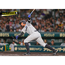 ブロマイド 5/22 T-G　95ヘルナンデス
