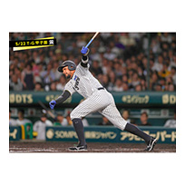 ブロマイド 5/22 T-G　95ヘルナンデス