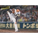 ブロマイド 5/22 T-G　14岩貞