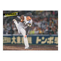 ブロマイド 5/22 T-G　14岩貞