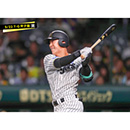 ブロマイド 5/22 T-G　61豊田