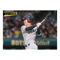 ブロマイド 5/22 T-G　61豊田