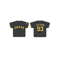 【先行受注】TIGERS B-LUCK DYNAMITE SERIES2025 「&TEAM」ユニフォーム型クッション