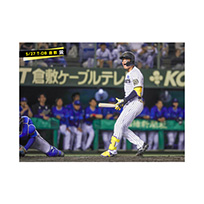 ブロマイド 5/27 T-DB　1森下
