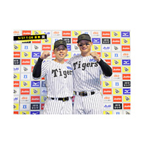 ブロマイド 5/27 T-DB　1森下、33糸原