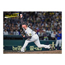 ブロマイド 5/28 T-DB　42ネルソン