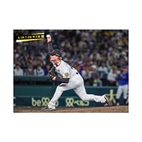 ブロマイド 5/28 T-DB　42ネルソン