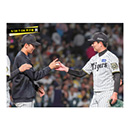 ブロマイド 5/28 T-DB　13岩崎、30門別
