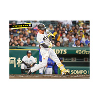 ブロマイド 5/29 T-DB　1森下