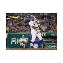 ブロマイド 5/29 T-DB　95ヘルナンデス