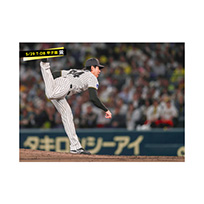 ブロマイド 5/29 T-DB　24工藤