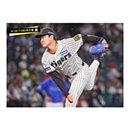 ブロマイド 5/29 T-DB　54木下