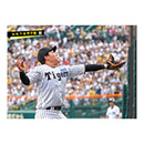 ブロマイド 6/6 T-B No.1　3大山