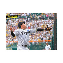 ブロマイド 6/6 T-B No.1　3大山