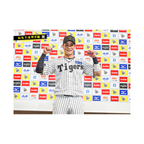 ブロマイド 6/6 T-B No.5　0木浪