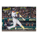 ブロマイド 6/7 T-B No.1　1森下
