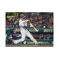 ブロマイド 6/7 T-B No.1　1森下