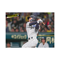 ブロマイド 6/7 T-B No.4　12坂本