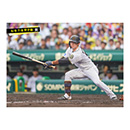 ブロマイド 6/8 T-B No.1　51中野