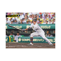 ブロマイド 6/8 T-B No.1　51中野