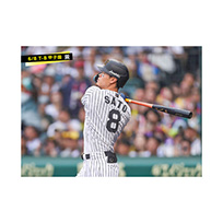 ブロマイド 6/8 T-B No.4　8佐藤（輝明）