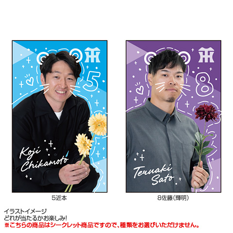 全12種）シークレット フォトデコ風ステッカー - 阪神タイガース