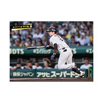 ブロマイド 6/17 T-M No.3　51中野