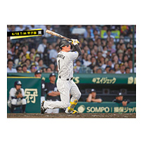 ブロマイド 6/18 T-M No.2　1森下