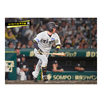 ブロマイド 6/18 T-M No.3　5近本