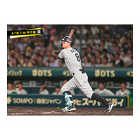 ブロマイド 6/18 T-M No.4　8佐藤（輝明）