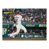 ブロマイド 6/19 T-M No.3　12坂本