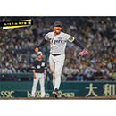 ブロマイド 6/19 T-M No.4　20デュプランティエ