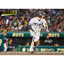 ブロマイド 6/20 T-H No.2　5近本