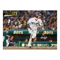 ブロマイド 6/20 T-H No.2　5近本