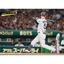 ブロマイド 6/20 T-H No.4　51中野