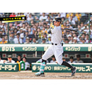 ブロマイド 6/21 T-H No.2　8佐藤（輝明）
