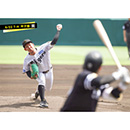 ブロマイド 6/22 T-H No.1　18伊原
