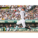 ブロマイド 6/22 T-H No.2　8佐藤（輝明）
