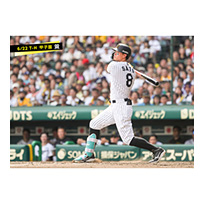 ブロマイド 6/22 T-H No.2　8佐藤（輝明）