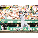 ブロマイド 6/22 T-H No.3　3大山