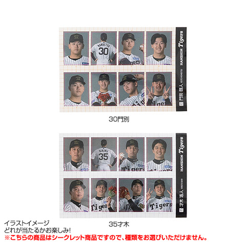 TJBB 桑原巧光　TAKUMIチェキ&トレカ&証明写真風ステッカー2枚 TJBB 桑原巧光 TAKUMIチェキ&トレカ&証明写真風ステッカー2枚